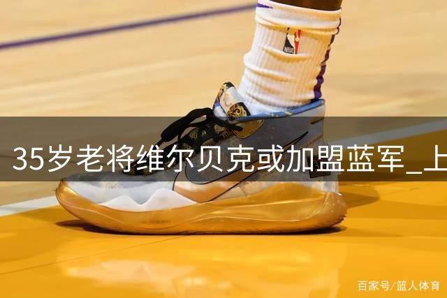 35岁老将维尔贝克或加盟蓝军 上赛季英超13球表现引关注